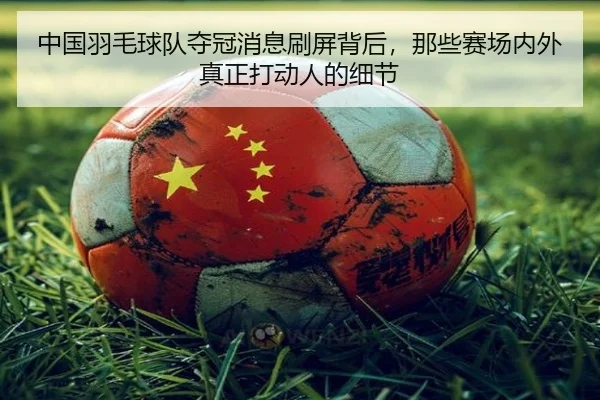 中国羽毛球队夺冠消息刷屏背后，那些赛场内外真正打动人的细节